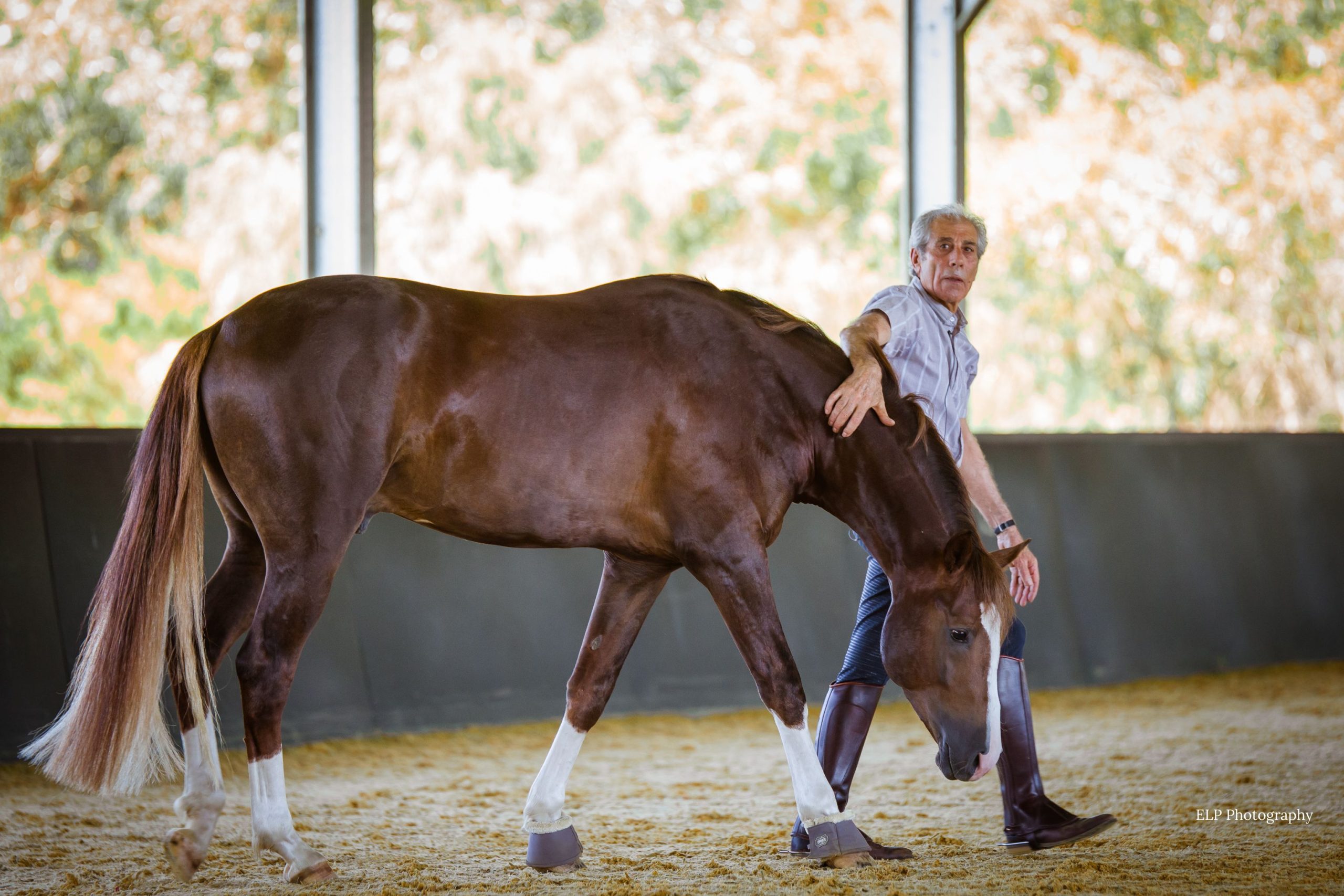 Manolo Mendez walking a horse