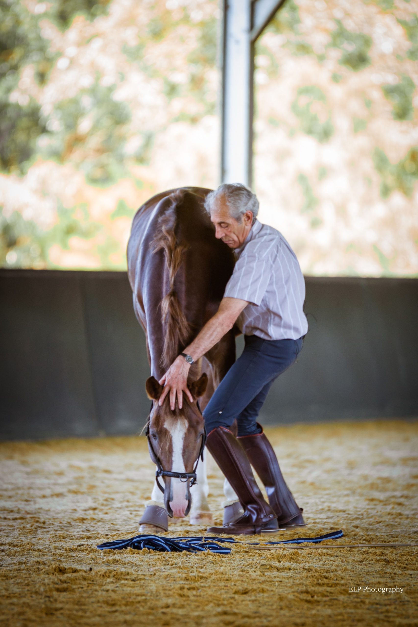 Manolo Mendez demonstrates horse posture