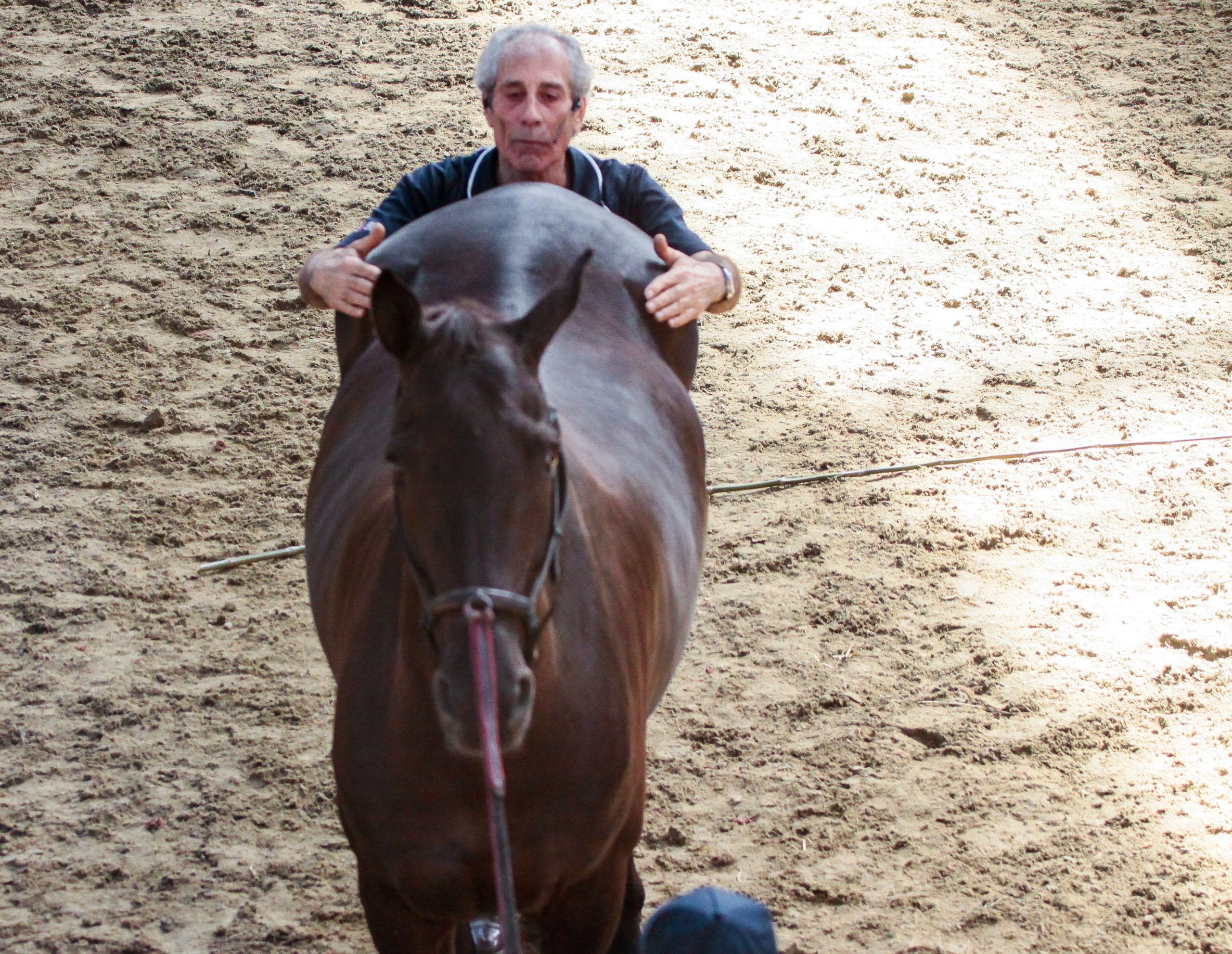 Manolo Mendez checking the correct hip posture of a horse