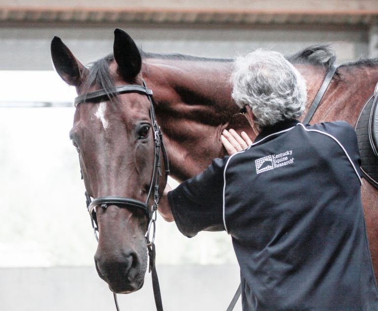 Manolo Mendez in a horse training clinic speaking about equine posture