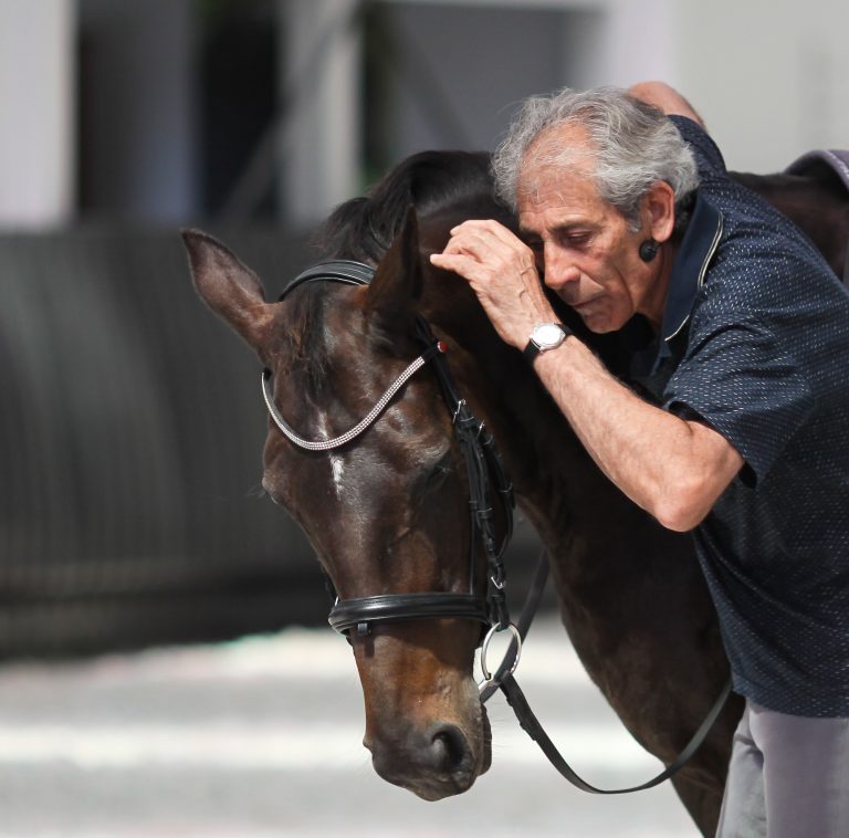 Manolo Mendez in demonstrating his expert horse training methods